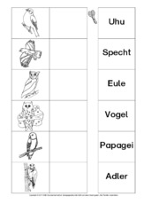 AB-Tiere-Zuordnung 5.pdf